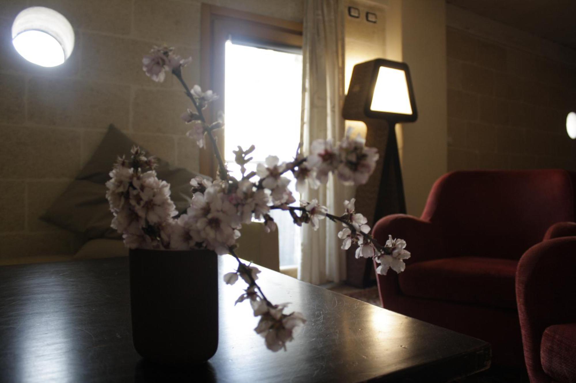 Apn Holiday Home Altamura Exterior foto